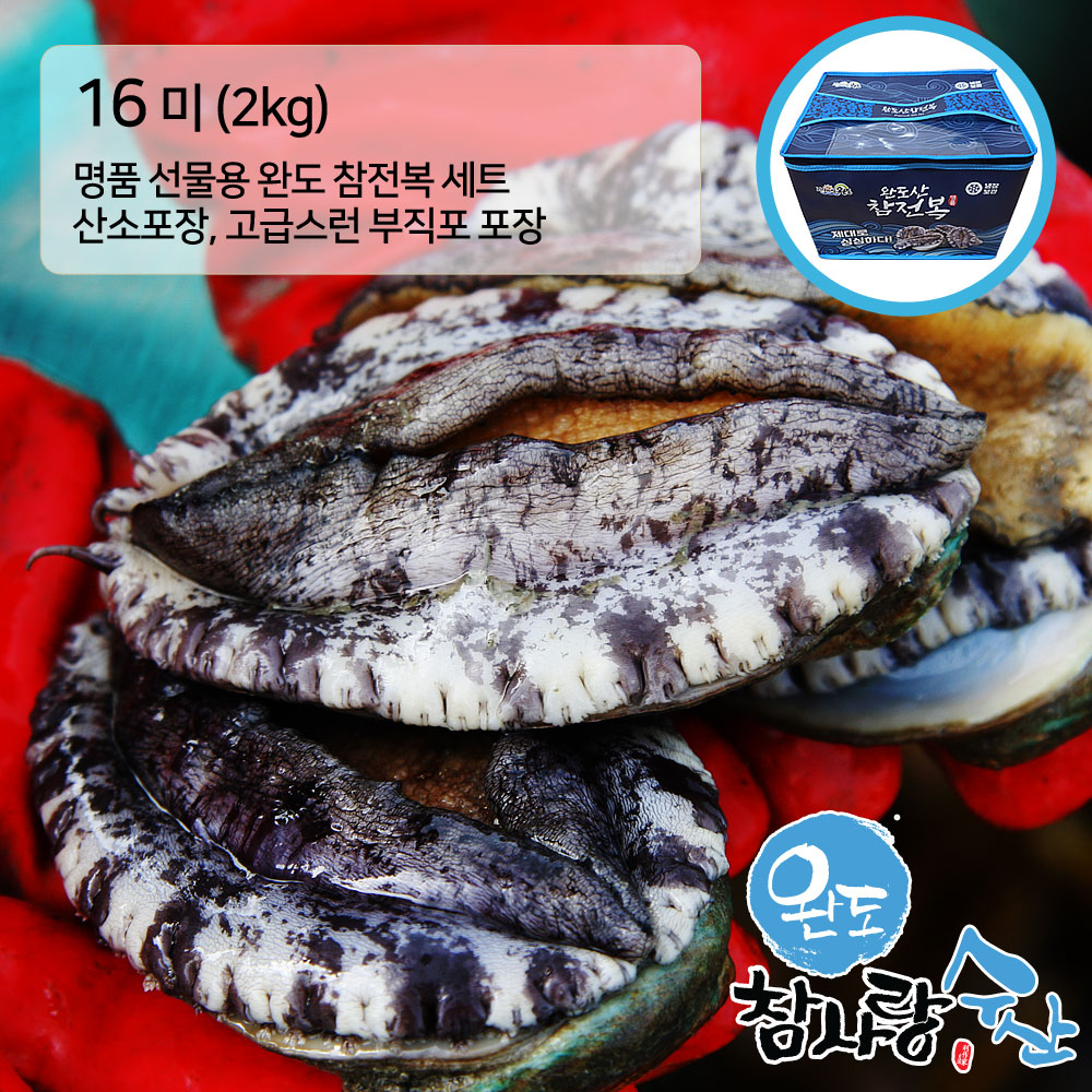 완도참사랑수산 名品 참전복 - 8미 2KG ( 16마리 )